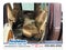 2004 Ford Super Duty F-250 XL